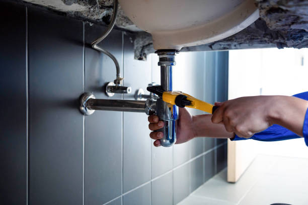 Best Garbage Disposal Repair and Installation  in Waihee Waiehu, HI